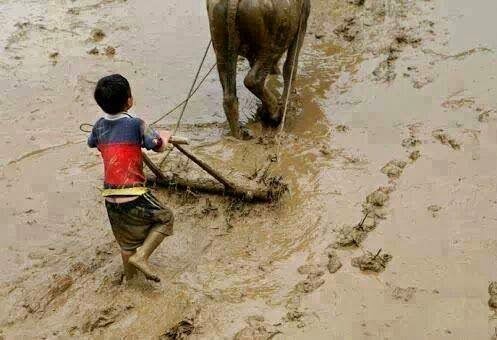 Top 5 con giáp được ngưỡng mộ vì sinh ra không có người chống lưng, tự nỗ lực vươn tới thành công. Ảnh minh họa: Internet