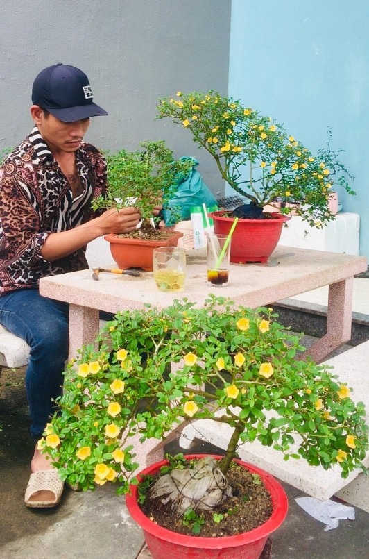 Chăm chỉ tạo dáng cây bonsai dại, anh Hiếu có thêm thu nhập.
