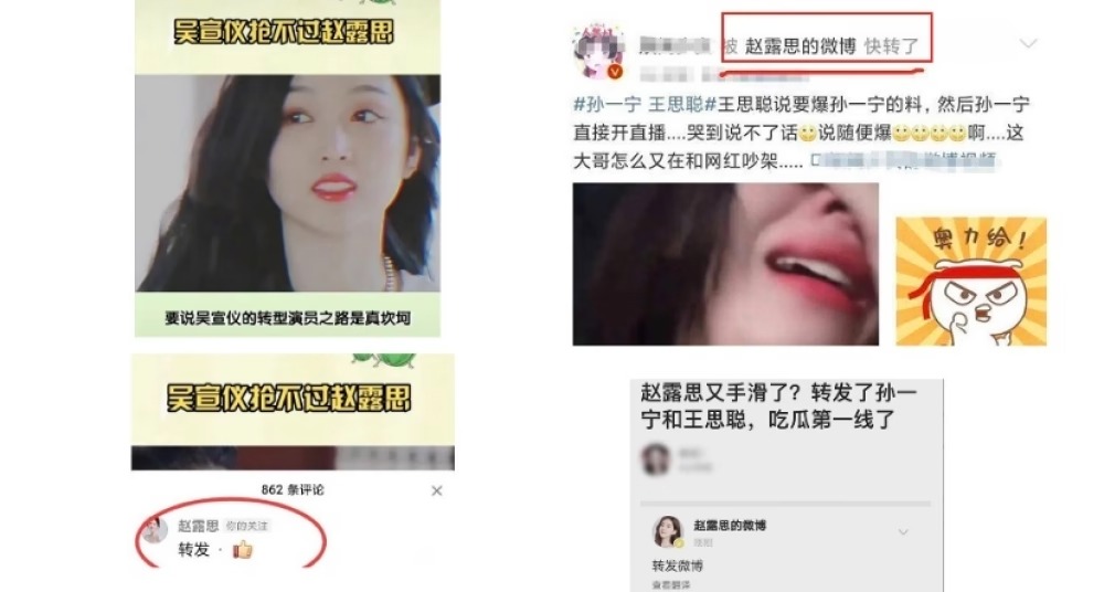 Xinh đẹp thanh thuần nhưng đây là lý do Triệu Lộ Tư bị Cnet ghét cay ghét đắng - Ảnh 6