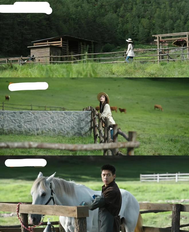 'Thần tiên tỷ tỷ' Lưu Diệc Phi bị chê toàn diện khi 'hạ phàm' trong Đi Đến Nơi Có Gió - Ảnh 4