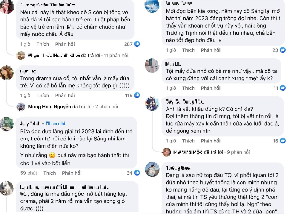 CDM bất bình đối với Trịnh Sảng.