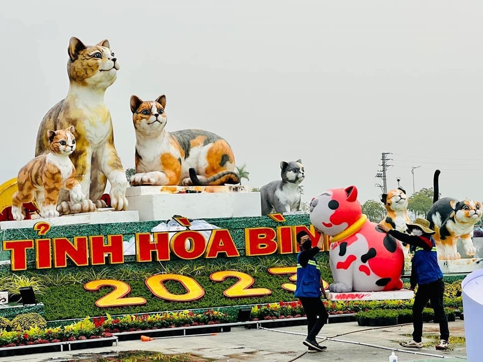 Đàn mèo Hòa Bình năm nay xinh đẹp xuất sắc.