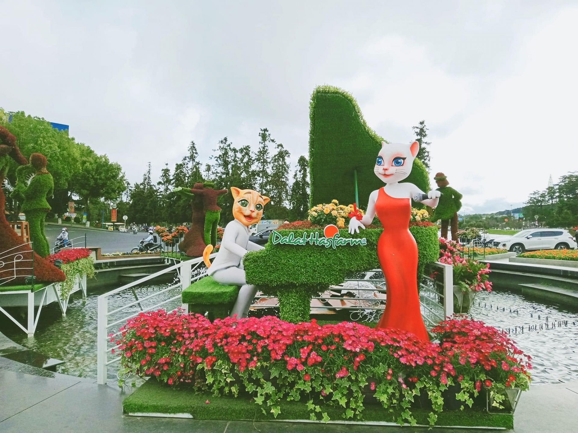 Mèo Đà Lạt năm nay xinh xắn, đáng yêu, được nhiều người dự đoán sẽ lọt vào vòng trong cuộc thi Miss Mèo.