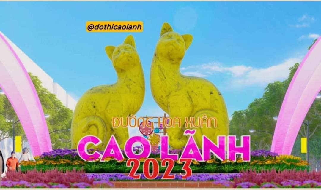 Nhưng nhìn sang mèo Cao Lãnh, Đồng Tháp thì đa số CDM lại tụt cảm xúc.