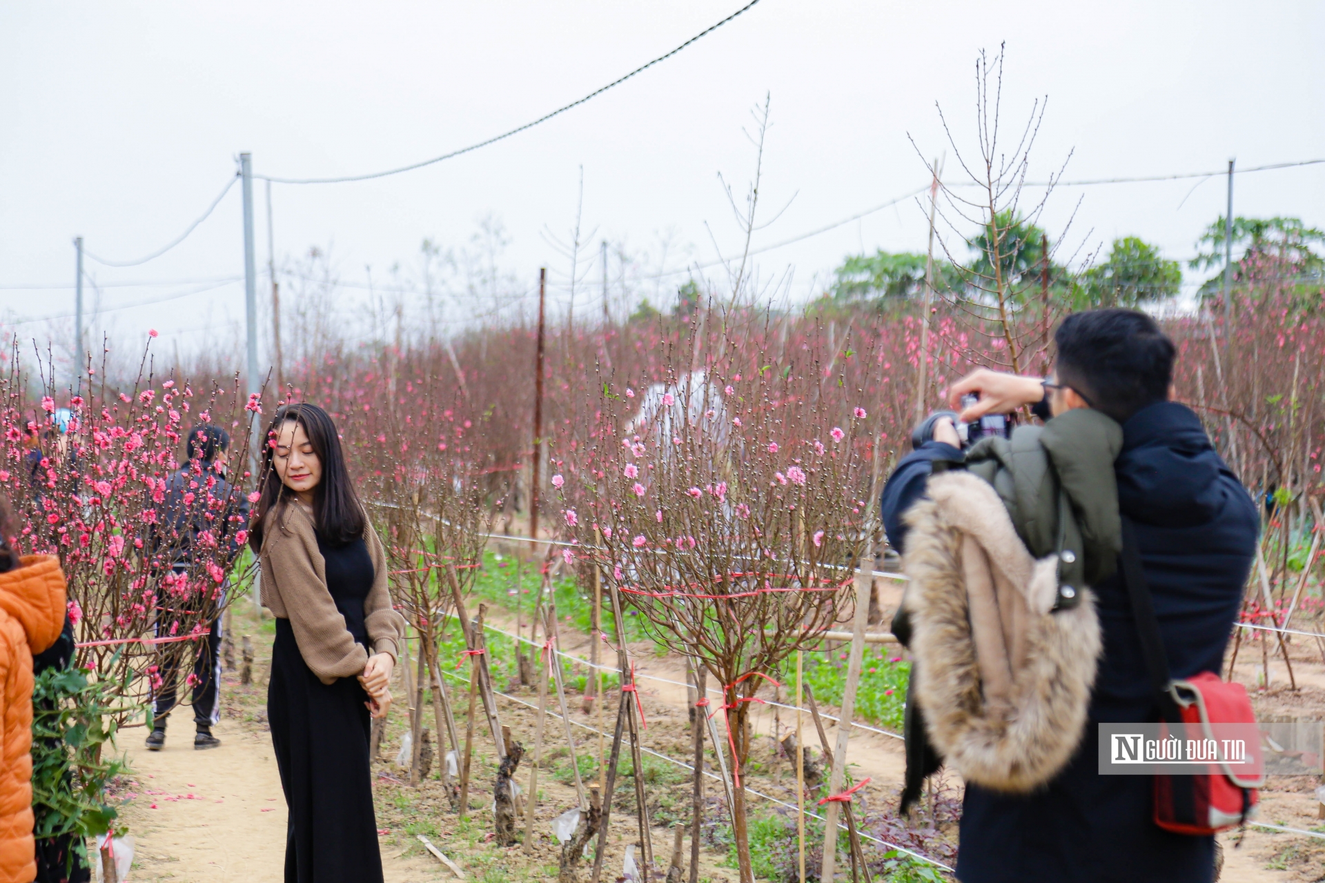 Nhiều người cũng tận hưởng khoảng thời gian này để tận hưởng không khí Xuân đang về.