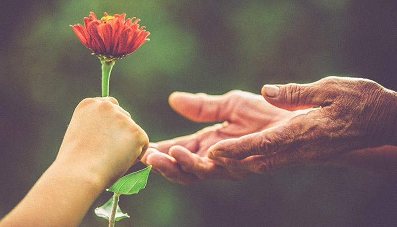 Top 3 con giáp nhiều phước đức, không may mắn đường tình thì cũng thuận lợi đường tiền - Ảnh 1