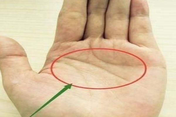 Người có lòng bàn tay trũng sâu là có của ăn của để, số không phải lo nghĩ về tiền bạc. Người có lòng bàn tay trũng sâu là có của ăn của để, số không phải lo nghĩ về tiền bạc.