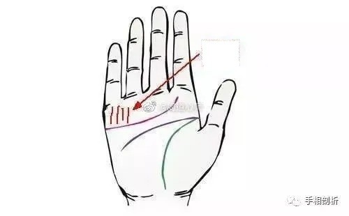 Những vân tay nhỏ bên dưới ngón út và áp út là đại diện cho đường tài lộc. Những vân tay nhỏ bên dưới ngón út và áp út là đại diện cho đường tài lộc.