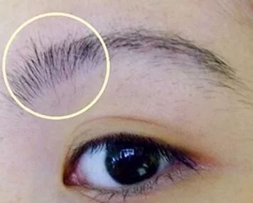 Người lông mày mọc ngược thì hay tự cao, ghen tị, xấu tính.