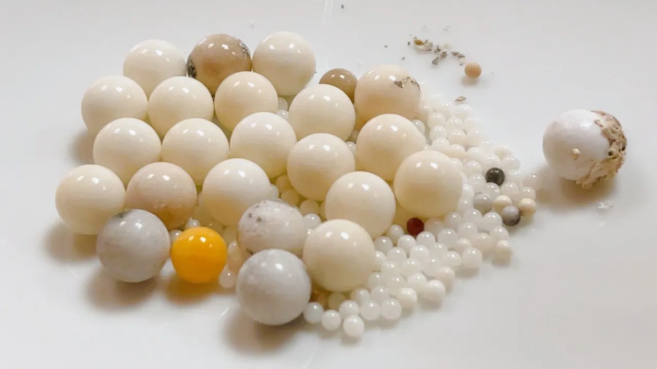 Xá lợi của đức Hòa thượng Tinh Vân