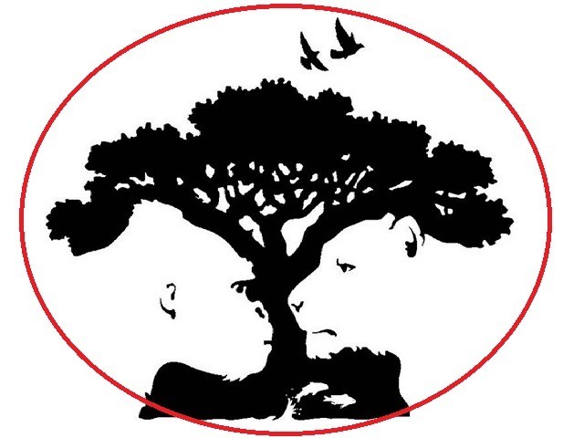 Nếu nhìn thấy chim và cây, bạn là một người trung thực và hợp lý.