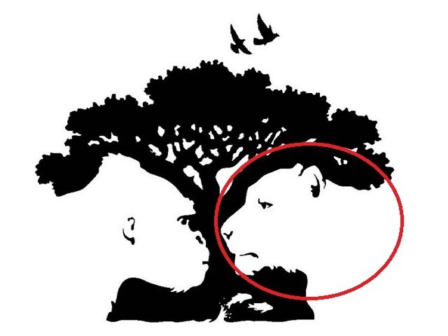 Nhìn thấy sư tử, bạn là người mạnh mẽ, có sức ảnh hưởng.