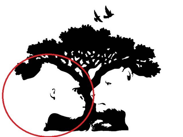 Nếu thấy khỉ đột, bạn là người có tính tò mò, có chút bướng bỉnh.