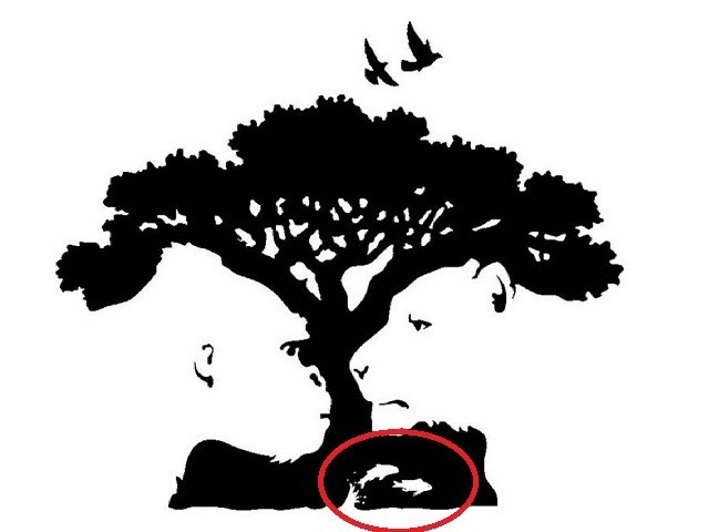 Còn nếu thấy những con cá thì bạn là người lạc quan, mơ mộng.