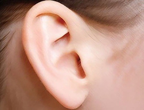 Phụ nữ mà có đôi tai không vành thì tính tình thật thà, bộc trực, độc mồm độc miệng. Cũng chính vì vậy mà hôn nhân của họ không được suôn sẻ như bao người. Ảnh minh họa: Internet Phụ nữ mà có đôi tai không vành thì tính tình thật thà, bộc trực, độc mồm độc miệng. Cũng chính vì vậy mà hôn nhân của họ không được suôn sẻ như bao người. Ảnh minh họa: Internet