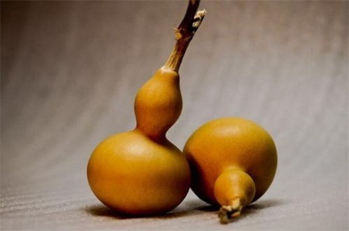 Hồ lô cũng là một vật phong thủy giúp thu hút tài lộc một cách tự nhiên. Ảnh minh họa: Internet