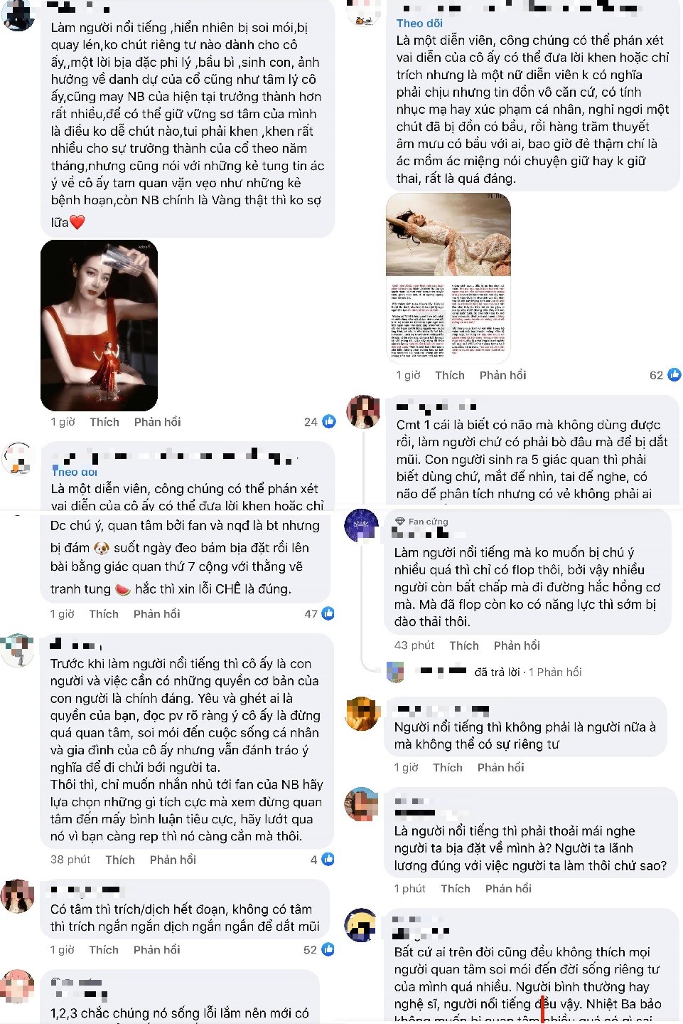 Rất nhiều CDM bênh vực Địch Lệ Nhiệt Ba sau khi cô bày tỏ quan điểm không muốn đời tư bị soi mói. Ảnh chụp màn hình