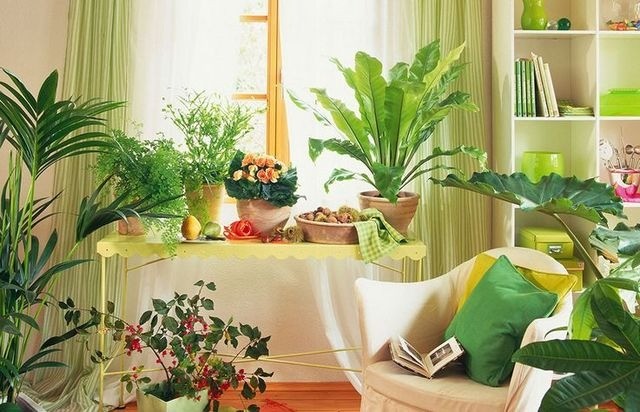 Nhà bài trí hút âm khí: Tài chính kiệt quệ, bệnh tật triền miên 5 Nhà bài trí hút âm khí: Tài chính kiệt quệ, bệnh tật triền miên 5