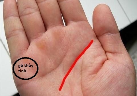 Được trời ban phước: Lòng bàn tay có 3 đặc điểm này thì chỉ số EQ rất cao, đi đâu cũng được người yêu kẻ mến 2 Được trời ban phước: Lòng bàn tay có 3 đặc điểm này thì chỉ số EQ rất cao, đi đâu cũng được người yêu kẻ mến 2