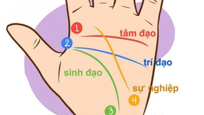 Đường sự nghiệp sâu và nét cũng là biểu hiện của người đàn ông có sự nghiệp thành đạt. Ảnh minh họa: Internet Đường sự nghiệp sâu và nét cũng là biểu hiện của người đàn ông có sự nghiệp thành đạt. Ảnh minh họa: Internet