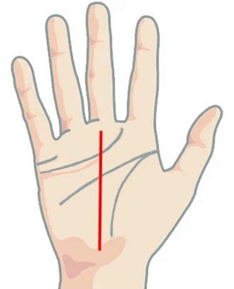 Còn người có đường sự nghiệp (màu đỏ) thẳng tắp thì tính tình cứng nhắc, nói năng không nể nang ai, quá tự tin, tự cho mình là trung tâm. Ảnh minh họa: Internet Còn người có đường sự nghiệp (màu đỏ) thẳng tắp thì tính tình cứng nhắc, nói năng không nể nang ai, quá tự tin, tự cho mình là trung tâm. Ảnh minh họa: Internet