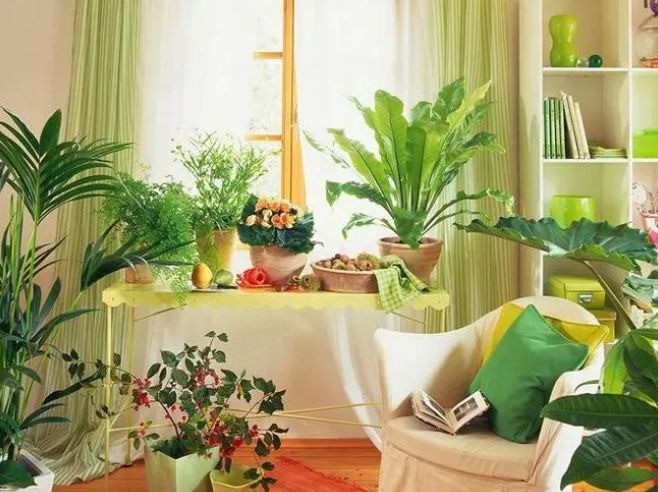 Phòng ngủ mà có 5 thứ này thì vứt nhanh còn kịp, để lâu ngày người uể oải mệt mỏi, thậm chí bệnh tật 4 Phòng ngủ mà có 5 thứ này thì vứt nhanh còn kịp, để lâu ngày người uể oải mệt mỏi, thậm chí bệnh tật 4