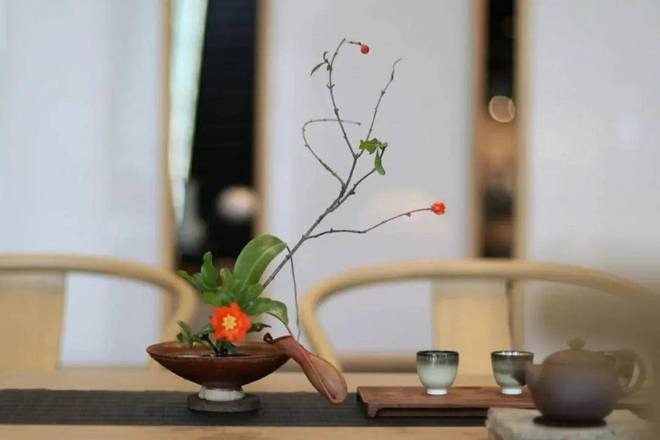 Nhà có 5 điềm báo này thì tương lai lộc lá, gia chủ ngoài 50 tuổi tha hồ hưởng phúc 1 Nhà có 5 điềm báo này thì tương lai lộc lá, gia chủ ngoài 50 tuổi tha hồ hưởng phúc 1