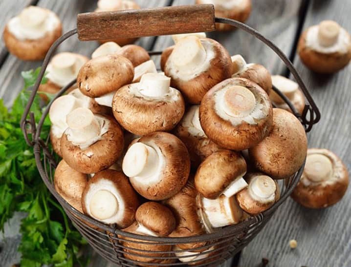 Nấm mà đun nấu nhiều lần sẽ sản sinh ra chất độc hại. Do đó, chỉ nên nấu nấm lượng vừa đủ, ăn trong 1 lần. Ảnh minh họa: Internet Nấm mà đun nấu nhiều lần sẽ sản sinh ra chất độc hại. Do đó, chỉ nên nấu nấm lượng vừa đủ, ăn trong 1 lần. Ảnh minh họa: Internet