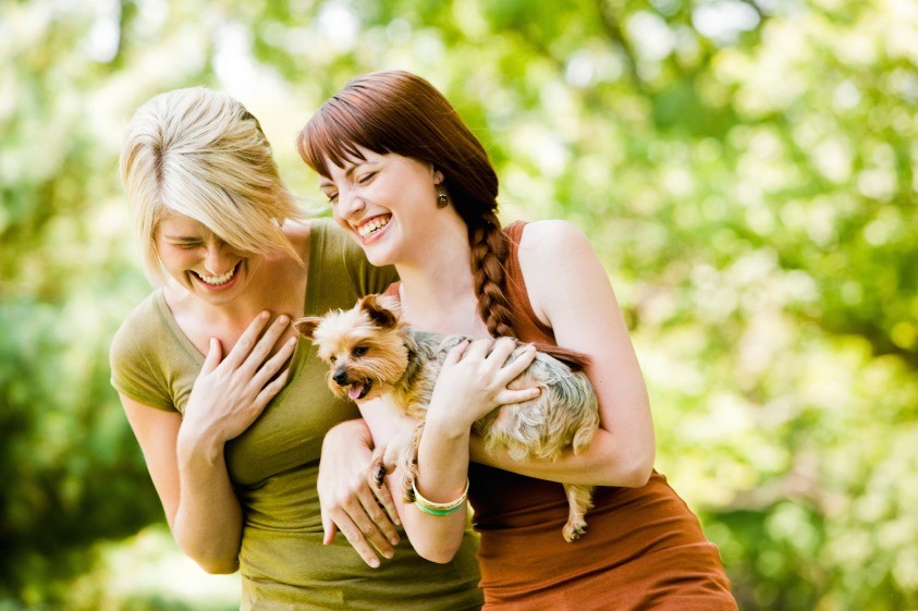 Người năng động, lạc quan thì thường khỏe mạnh. Ảnh minh họa: Internet