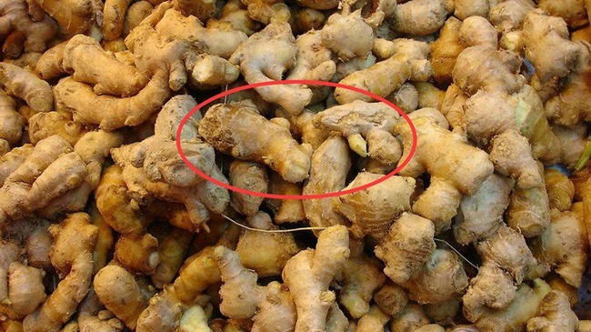 Gừng mốc cần loại bỏ khỏi kệ. Ảnh minh họa: Internet