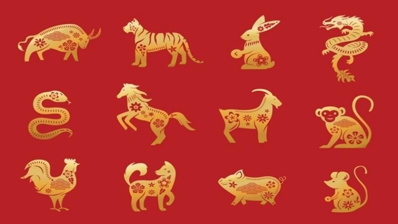12 con giáp. Ảnh minh họa: Internet 12 con giáp. Ảnh minh họa: Internet