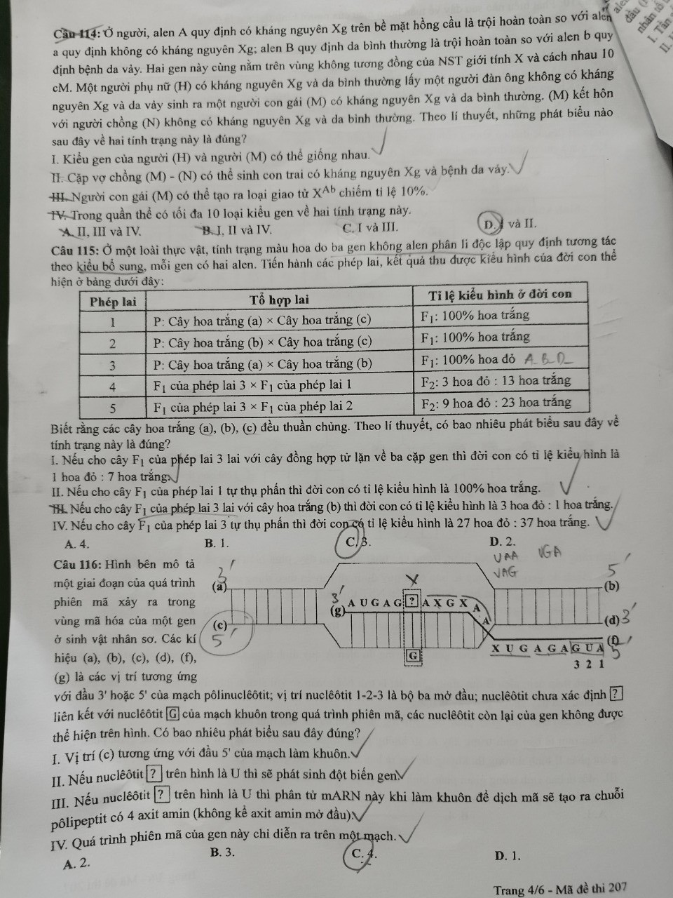 Đề thi THPT Quốc gia 2023 môn Sinh học tất cả các mã đề - Ảnh 4