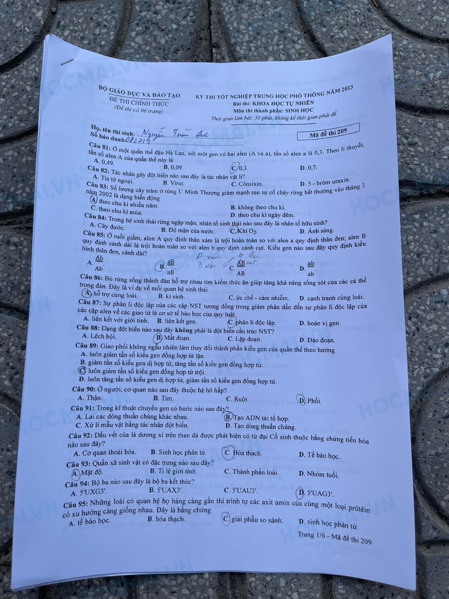 Đề thi THPT Quốc gia 2023 môn Sinh học tất cả các mã đề - Ảnh 7