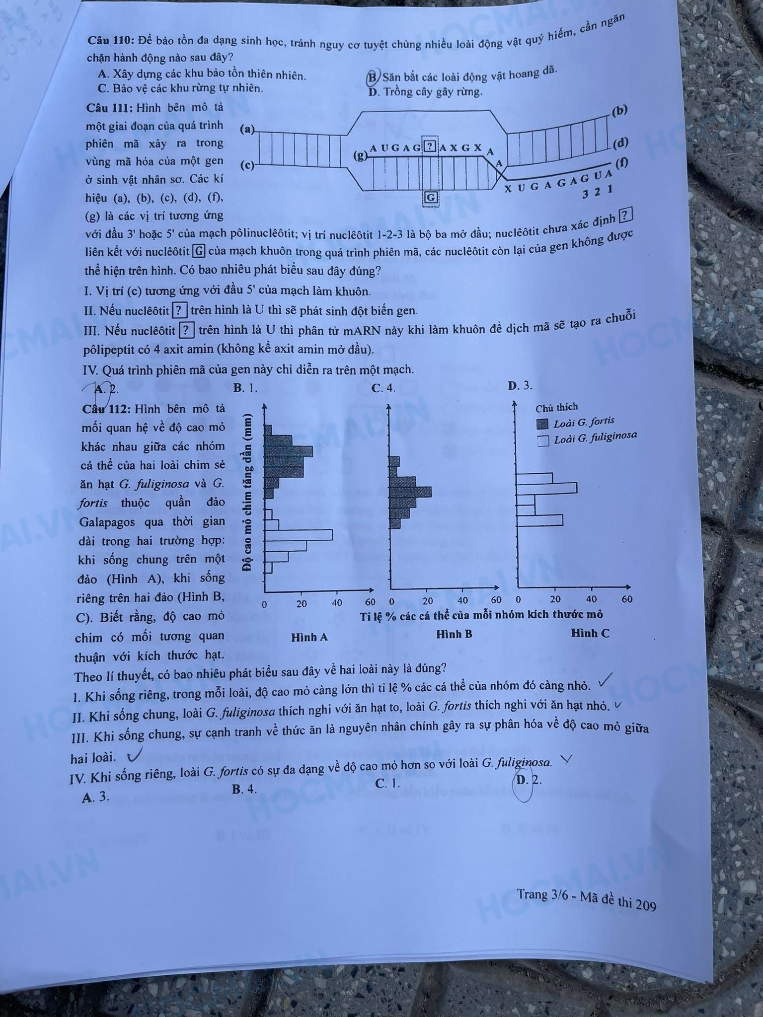 Đề thi THPT Quốc gia 2023 môn Sinh học tất cả các mã đề - Ảnh 9