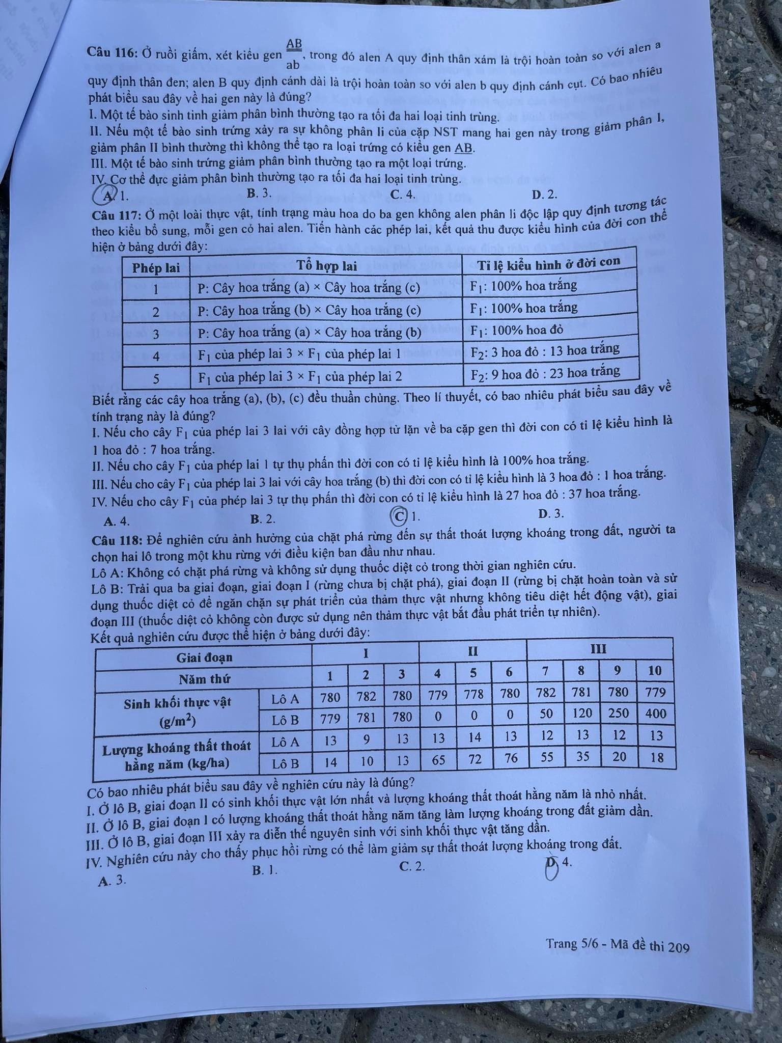 Đề thi THPT Quốc gia 2023 môn Sinh học tất cả các mã đề - Ảnh 11