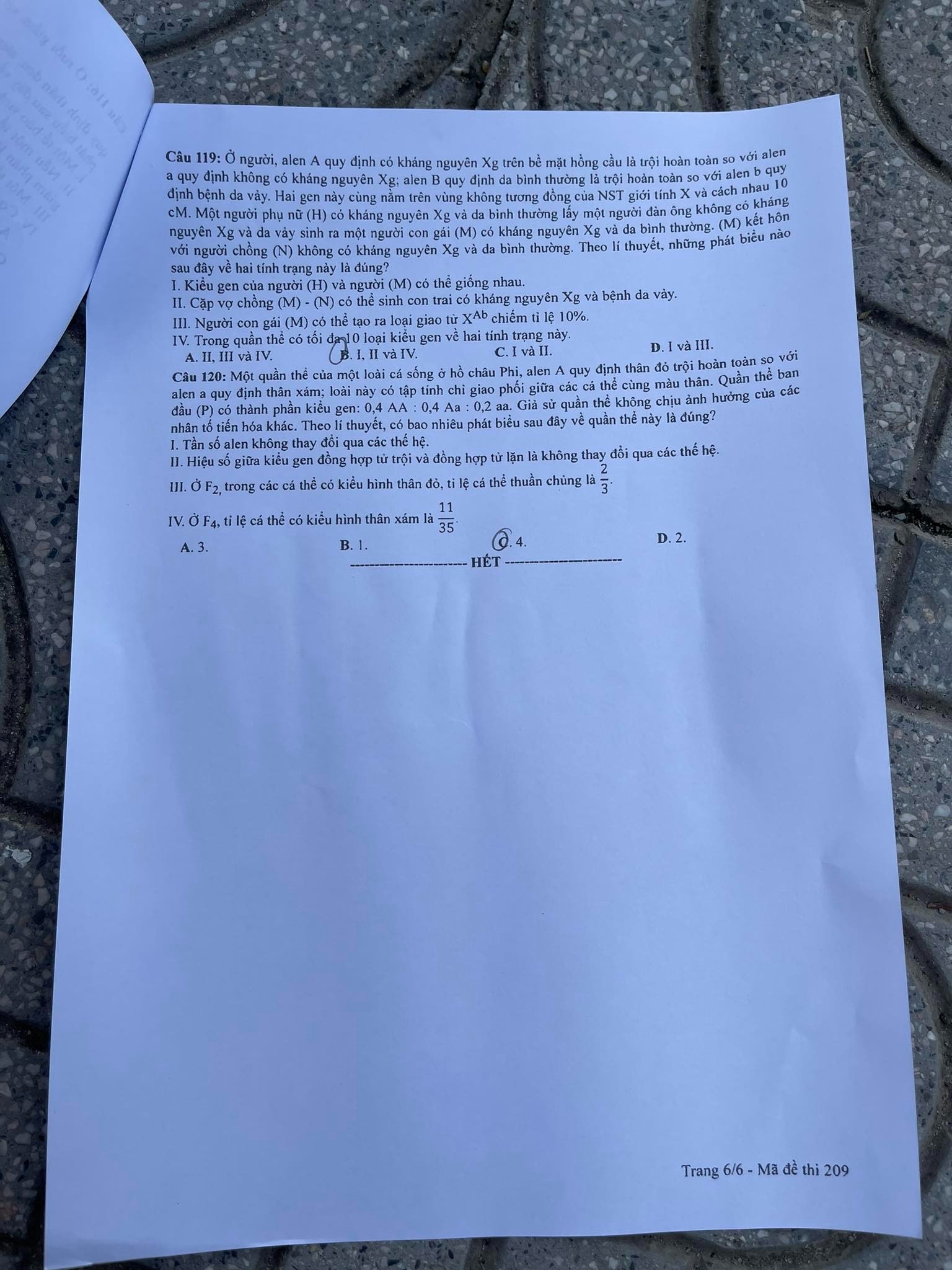 Đề thi THPT Quốc gia 2023 môn Sinh học tất cả các mã đề - Ảnh 12