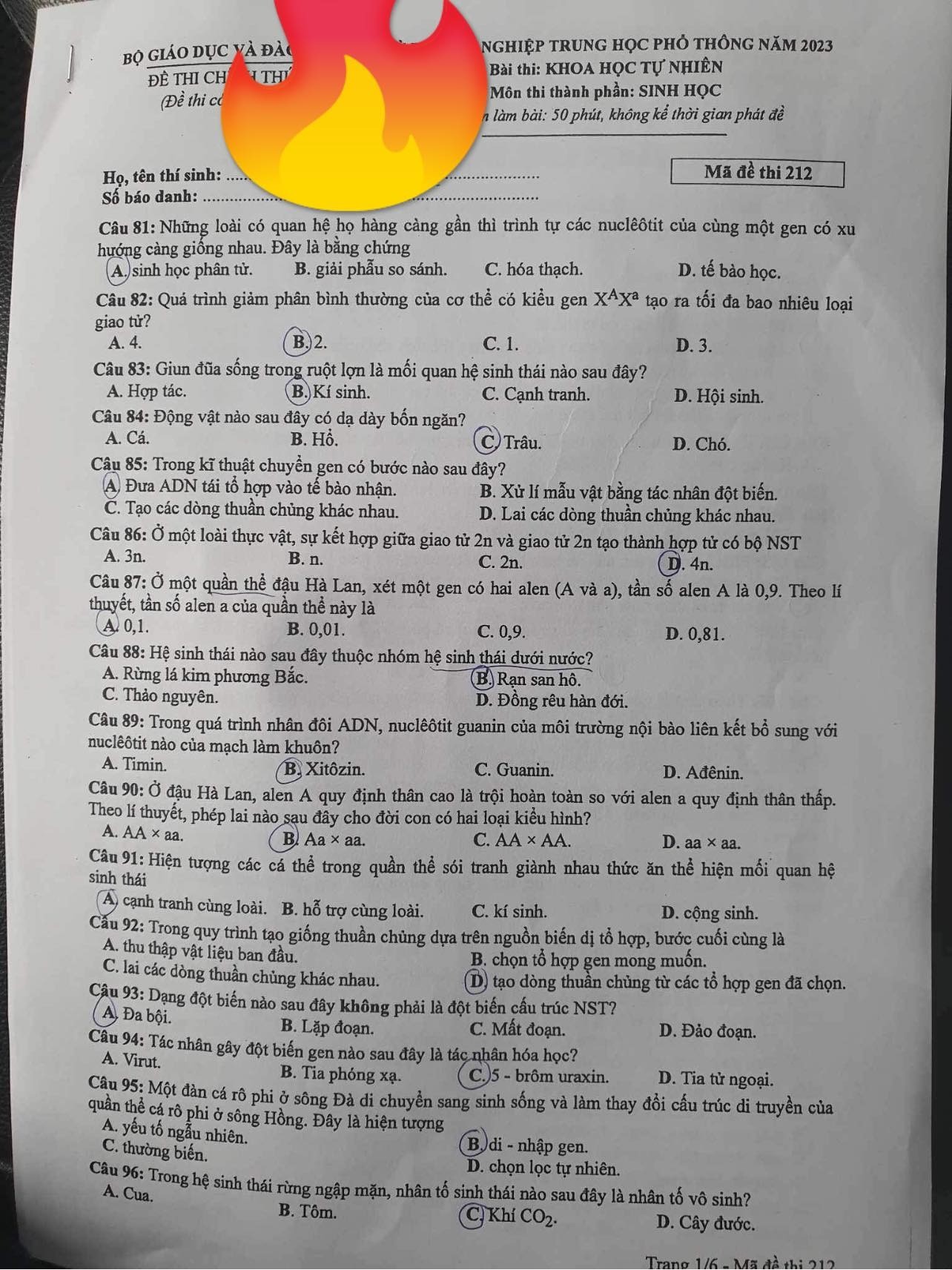Đáp án môn Sinh học mã đề 212 kỳ thi tốt nghiệp THPT 2023 - Ảnh 1
