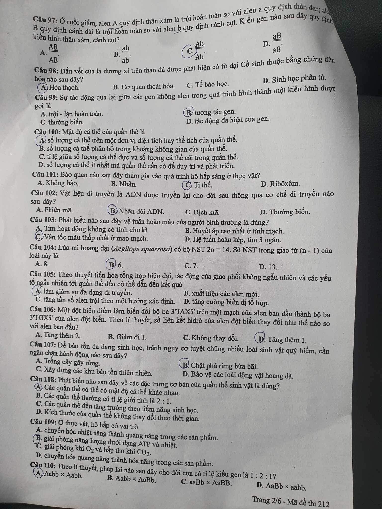 Đáp án môn Sinh học mã đề 212 kỳ thi tốt nghiệp THPT 2023 - Ảnh 2