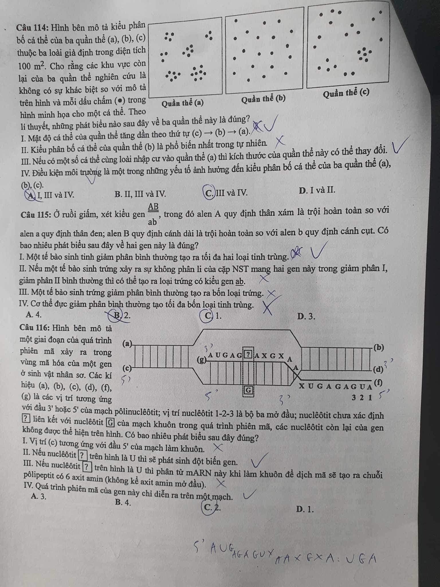 Đáp án môn Sinh học mã đề 212 kỳ thi tốt nghiệp THPT 2023 - Ảnh 4