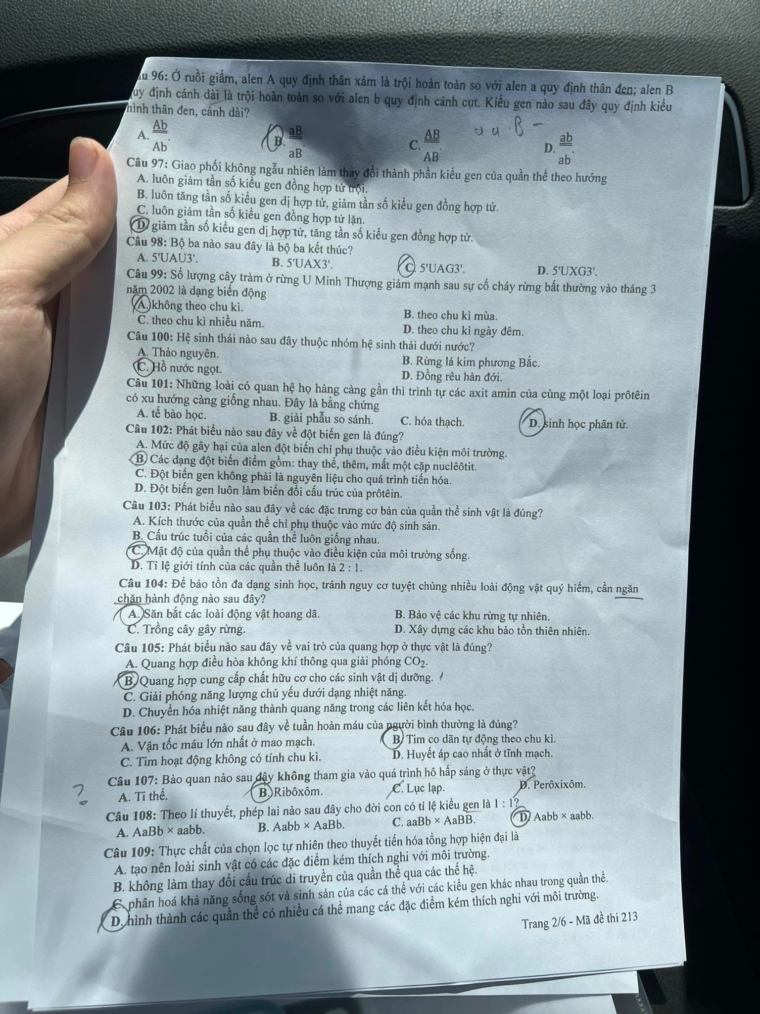 Đề thi THPT Quốc gia 2023 môn Sinh học tất cả các mã đề - Ảnh 14