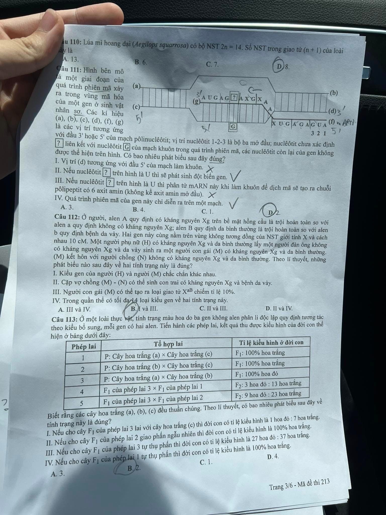 Đề thi THPT Quốc gia 2023 môn Sinh học tất cả các mã đề - Ảnh 15