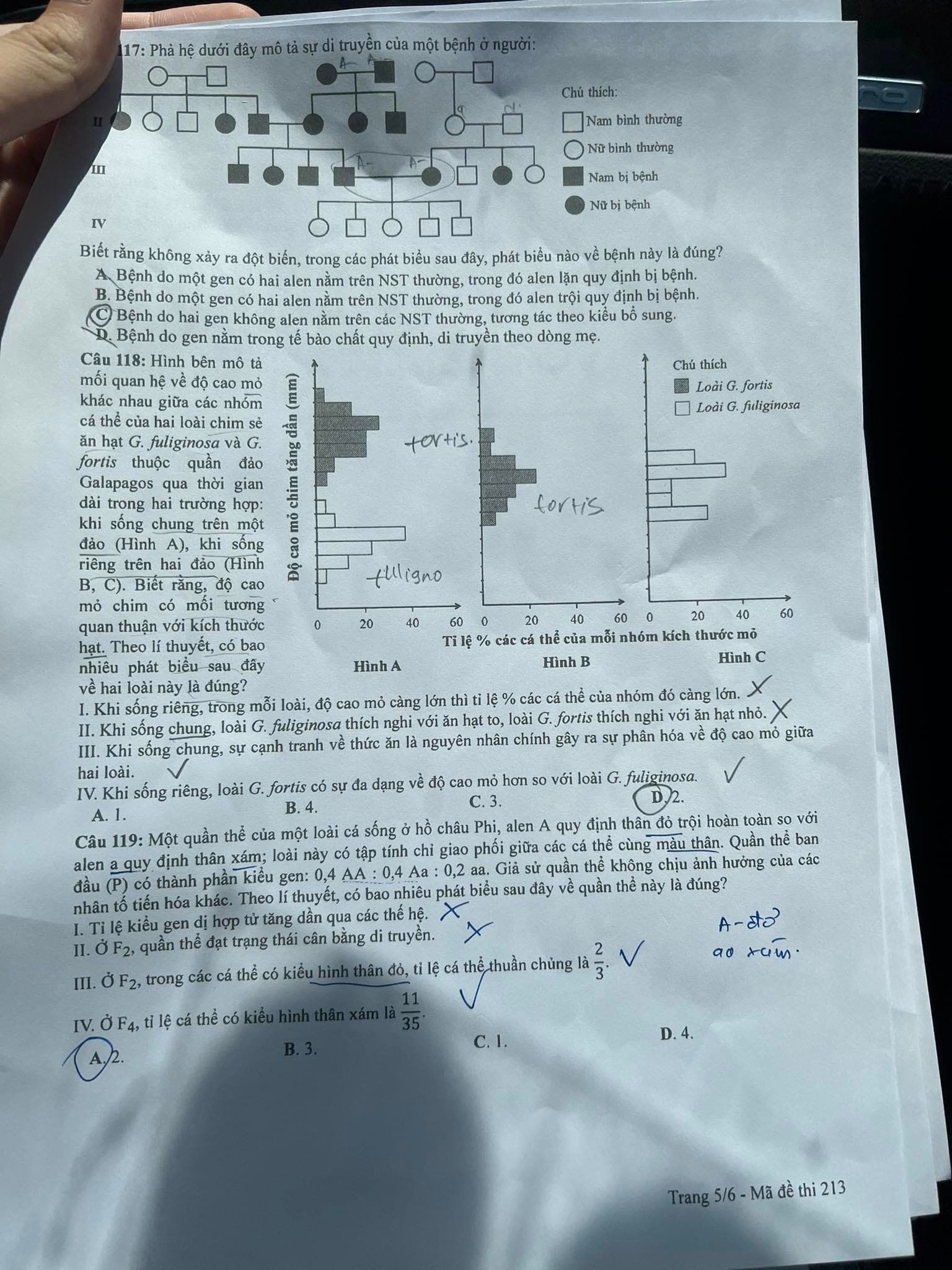 Đề thi THPT Quốc gia 2023 môn Sinh học tất cả các mã đề - Ảnh 17