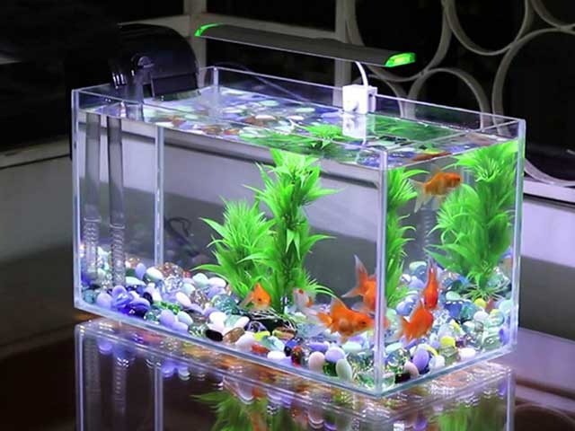 5 vật phẩm xua đuổi tà khí trong nhà phố, giúp gia chủ chiêu tài, hút lộc, sự nghiệp xuôi chèo mát mái - Ảnh 3 5 vật phẩm xua đuổi tà khí trong nhà phố, giúp gia chủ chiêu tài, hút lộc, sự nghiệp xuôi chèo mát mái - Ảnh 3