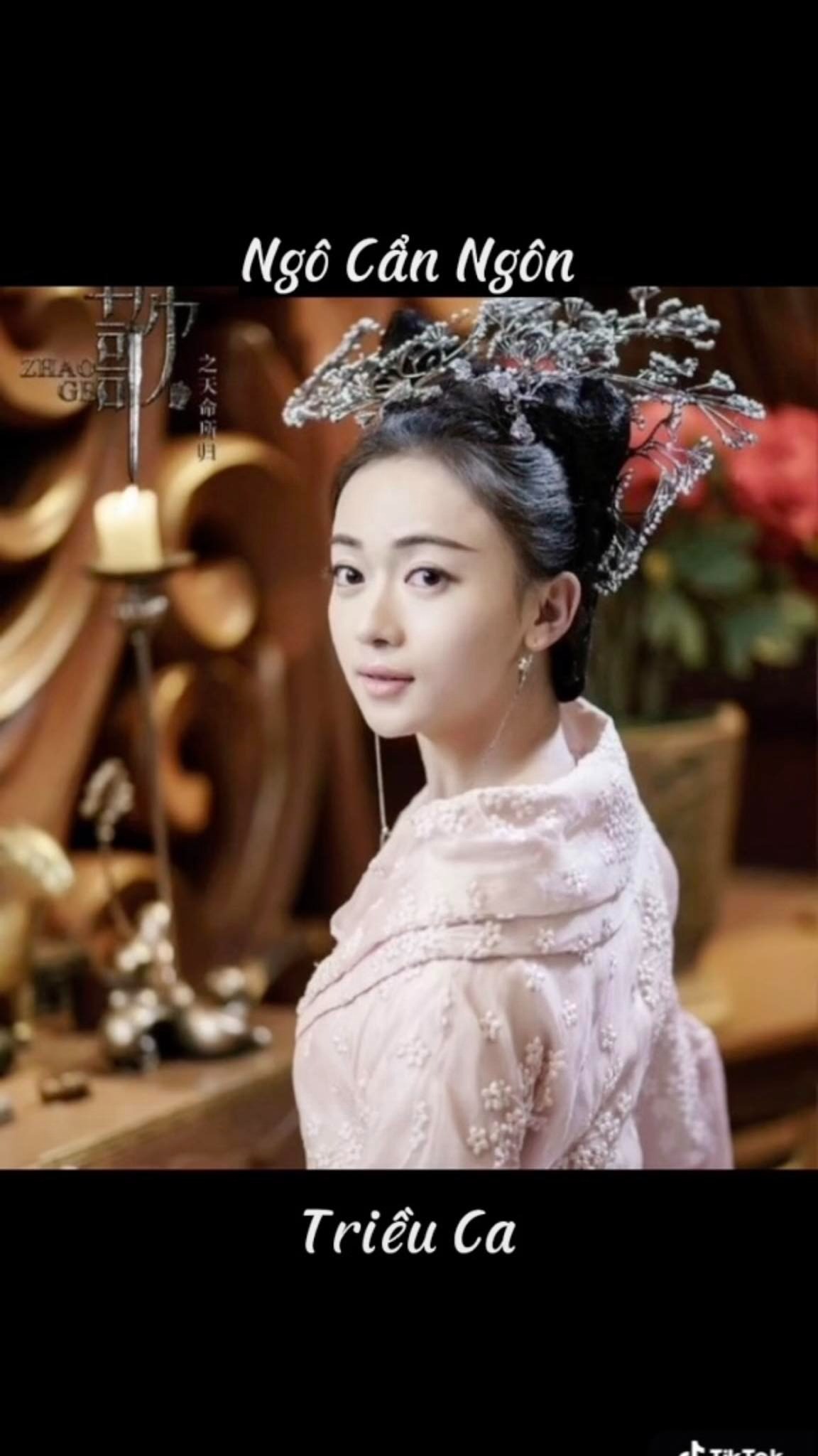 Nhân vật Đát Kỷ của Ngô Cẩn Ngôn trong Chiêu Ca (2019) gây khá nhiều tranh cãi. Ngoài diễn xuất bị chê bai, nhan sắc của Ngô Cẩn Ngôn bị cho là mờ nhạt, không đủ sức cân được vai 'tuyệt sắc giai nhân, khuynh quốc khuynh thành'. Nếu so sánh với những phiên bản Đát Kỷ trước đó của Ôn Bích Hà, Phạm Băng Băng, Lý Y Hiểu, Trương Hinh Dư, chắc chắn Ngô Cẩn Ngôn bị lép vế.