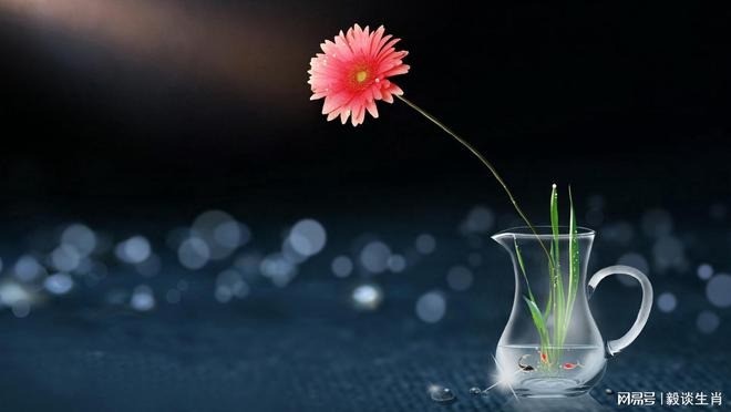 Bước sang tháng 8 Âm lịch, tuổi Mão, tuổi Tỵ và tuổi Hợi được hưởng phước lành, gặp nhiều may mắn trong công danh, tài lộc. Ảnh minh họa: Internet Bước sang tháng 8 Âm lịch, tuổi Mão, tuổi Tỵ và tuổi Hợi được hưởng phước lành, gặp nhiều may mắn trong công danh, tài lộc. Ảnh minh họa: Internet