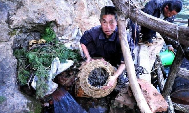 Các ngư dân không phải làm gì, chỉ đứng một chỗ mà vẫn có được những con cá to, ăn rất thơm ngon. Ảnh: Internet Các ngư dân không phải làm gì, chỉ đứng một chỗ mà vẫn có được những con cá to, ăn rất thơm ngon. Ảnh: Internet