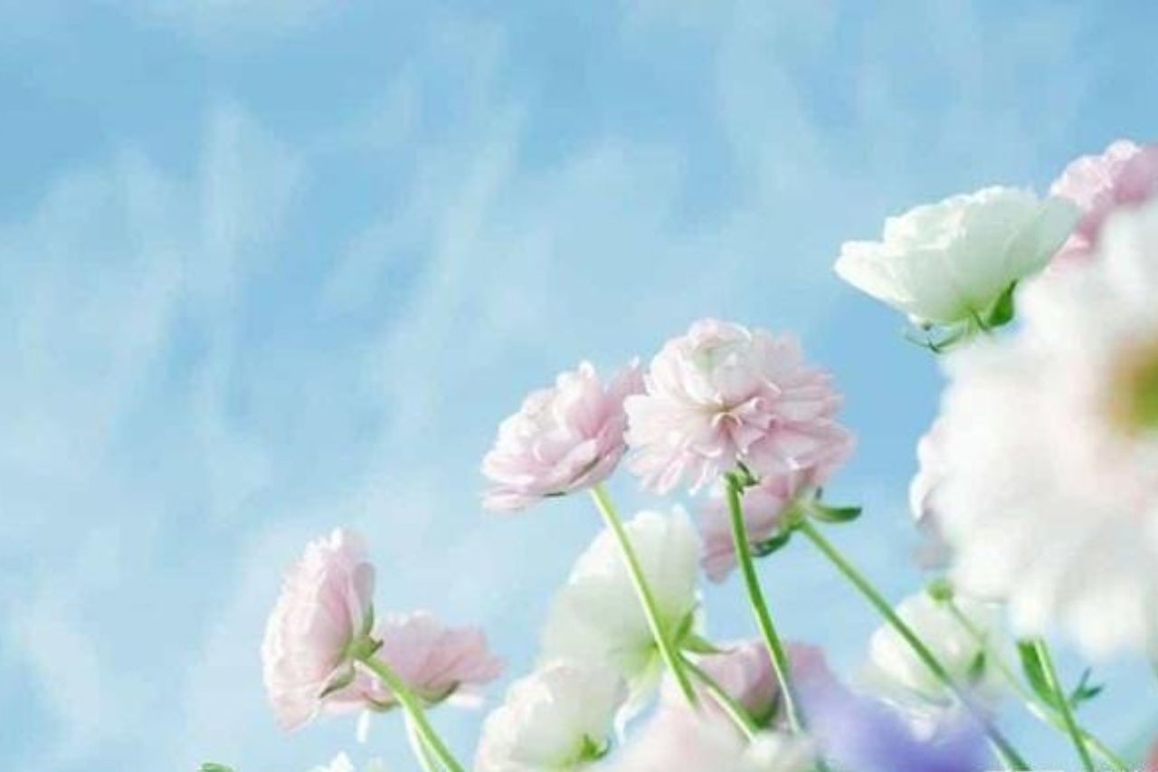 Tuổi Ngọ, tuổi Dậu, tuổi Thìn là 3 con giáp may mắn nhất từ 20-30/9. Ảnh minh họa: Internet