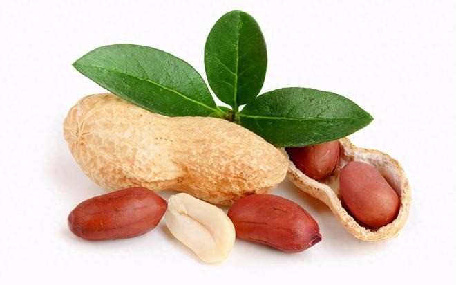 Đậu phộng (củ lạc) có quá nhiều tác dụng tốt cho sức khỏe nên được ví như 'loại quả trường thọ'. Ảnh minh họa: Internet