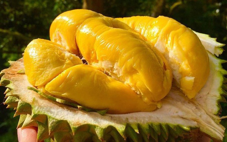 Nếu bạn ăn sầu riêng mỗi ngày, sau một thời gian điều gì sẽ xảy ra? - Ảnh 3 Nếu bạn ăn sầu riêng mỗi ngày, sau một thời gian điều gì sẽ xảy ra? - Ảnh 3