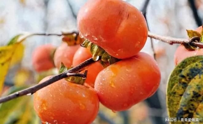 Ăn hồng mang lại lợi ích cho cơ thể. Ảnh minh họa: Internet Ăn hồng mang lại lợi ích cho cơ thể. Ảnh minh họa: Internet